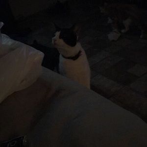 Meet your Posher, Leah